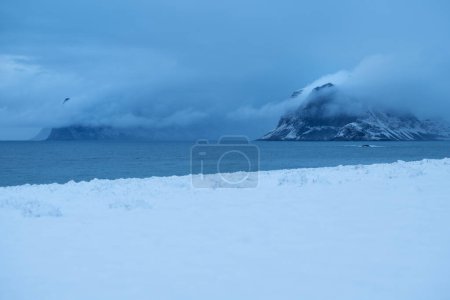 Téléchargez les photos : Chute de neige printanière couvert prairie côtière avec neige, flakstady, Îles Lofoten, Norvège - en image libre de droit