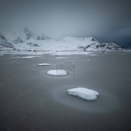Photo for Snow covered rocky in frozen Flakstadpollen, Flakstady, Lofoten Islands, Norway - Royalty Free Image