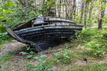 Photo for Old abandoned wooden fishing boat in the forest. Boat cemetery near the Baltic sea in Latvia. - Royalty Free Image