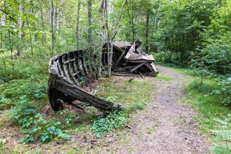 Téléchargez les photos : Boat cemetery near the Baltic sea in Latvia. - en image libre de droit
