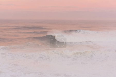 Téléchargez les photos : Surfeurs dans l'océan rose à l'aube à Nazare - en image libre de droit