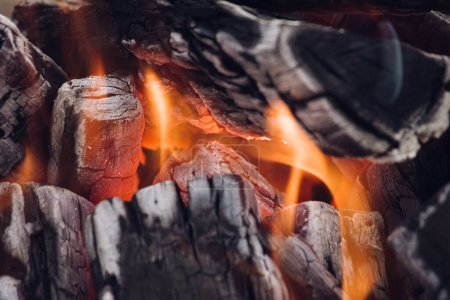 Téléchargez les photos : Vue grand angle du bois de chauffage - en image libre de droit