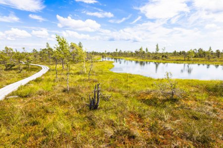 Photo for Great Kemeri Bog swamp at the Kemeri National Park in Latvia. - Royalty Free Image