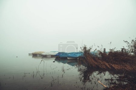 Photo for Mystic morning at the Greifensee - Royalty Free Image