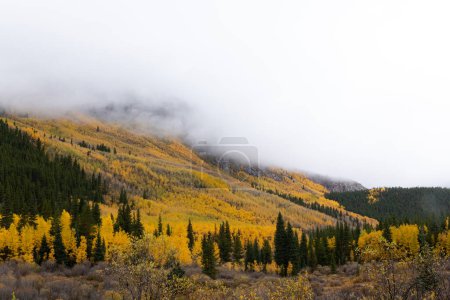 Téléchargez les photos : Mountain peak covered in clouds and yellow aspens. - en image libre de droit