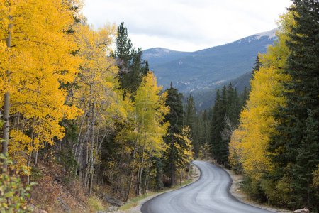 Téléchargez les photos : Winding road through fall colors. - en image libre de droit