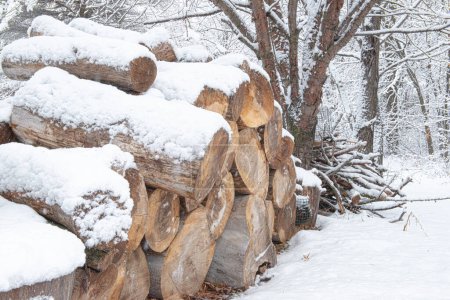 Foto de Close up of snow covered wood pile in winter. - Imagen libre de derechos