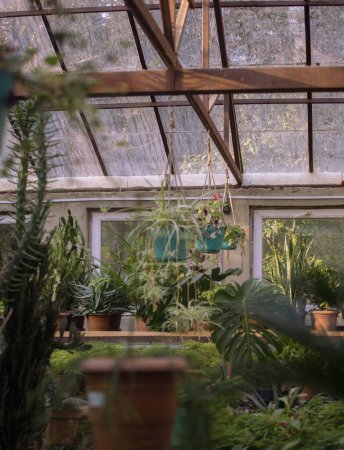 Téléchargez les photos : Greenhouse in Kutaisi Botanical Garden - en image libre de droit