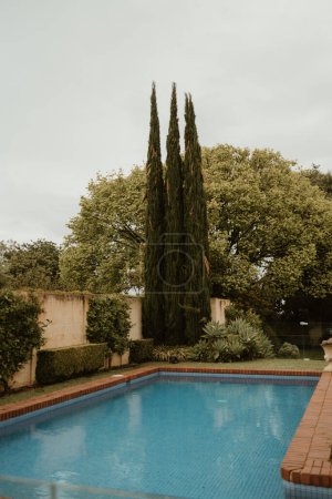 Téléchargez les photos : Backyard pool in suburban Australia - en image libre de droit