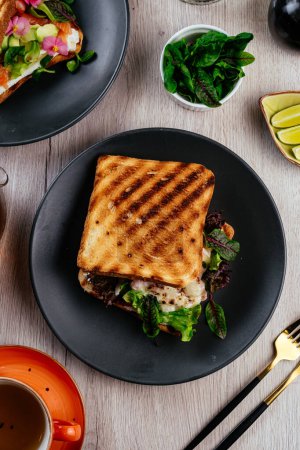 Téléchargez les photos : Sandwich with chicken, cheese and herbs on a plate - en image libre de droit