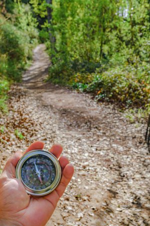 Photo for Man orienting himself with a compass in the forest - Royalty Free Image