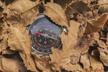 Foto de Compass hidden among dry leaves in the mountain - Imagen libre de derechos