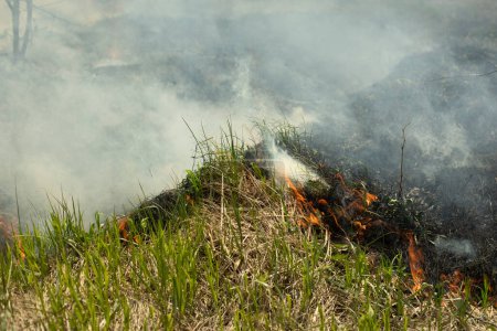 Foto de Black smoke from fire. Burning of garbage. Destruction of nature. Environmental disaster. Fire and smoke. - Imagen libre de derechos
