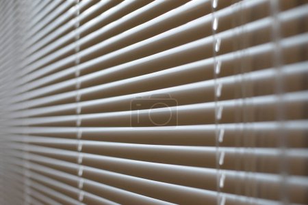 Photo for Blinds in office. Interior details. Window is closed from light. Protection from spicy sunlight. Blinds on window. - Royalty Free Image