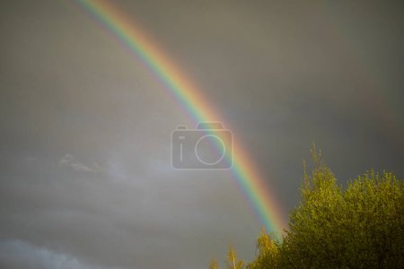 Foto de Rainbow in sky. Beautiful weather. Decomposition of light into colors. Natural phenomenon. - Imagen libre de derechos