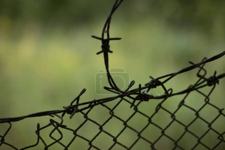 Foto de Fence in detail. Fence around house. Barrier for outsiders. Private territory. - Imagen libre de derechos