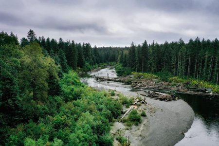 Foto de Winding wilderness river through green pine tree forest - Imagen libre de derechos