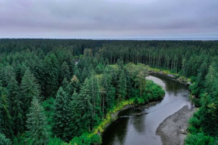 Foto de Drone landscape of meandering river through green forest wilderness - Imagen libre de derechos