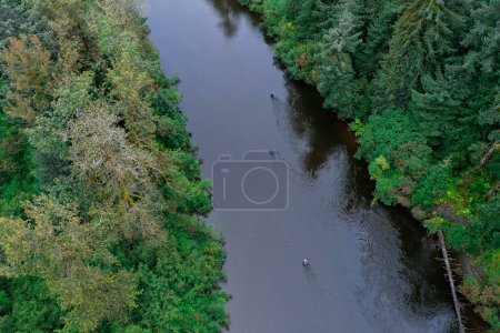 Foto de Gente en peces de río para el salmón en la aventura en el bosque salvaje - Imagen libre de derechos