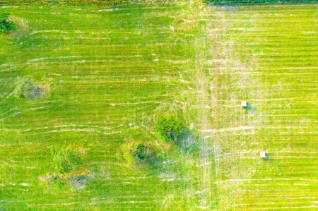 Foto de Franjas verticales de parcelas agrícolas de diferentes cultivos. Vista aérea disparar desde el dron directamente sobre el campo - Imagen libre de derechos