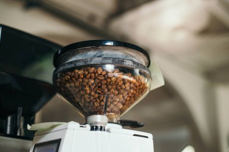 Téléchargez les photos : Coffee bean contain in coffee grinder machine - en image libre de droit