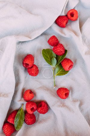 Photo for Fresh raspberries scattered across a gray cloth at a picnic - Royalty Free Image