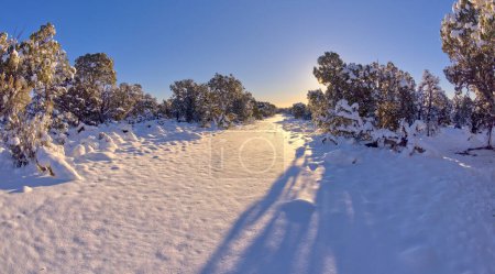Téléchargez les photos : A snow covered road leading to the east rim of Grand Canyon Arizona called the Palisades of the Desert. - en image libre de droit