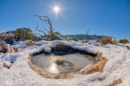 Photo for A frozen pool of water in the Palisades of the Desert at Grand Canyon Arizona. - Royalty Free Image
