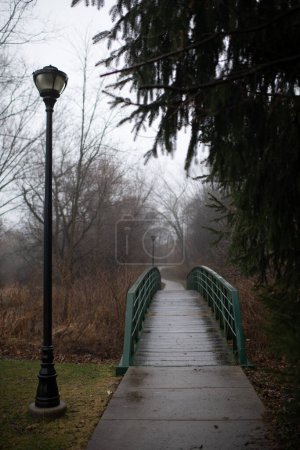 Téléchargez les photos : Rainy Bridge Path with Street Lamps on a Foggy Winter Day - en image libre de droit