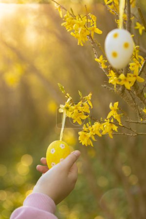 Téléchargez les photos : Childs hangs yellow decorative eggs on yellow branches - en image libre de droit