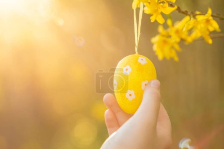 Téléchargez les photos : Yellow decorative eggs on blooming yellow branches - en image libre de droit