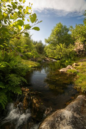 Téléchargez les photos : Natural Pool in Cal river, on the top of Foln an Picn Watermills trail - en image libre de droit