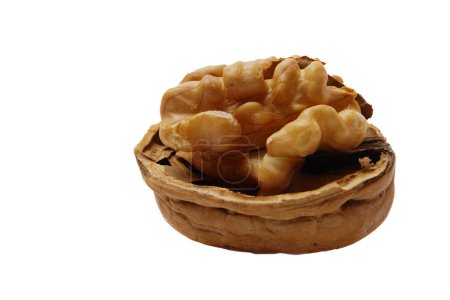 Photo for Unshelled walnut in close-up isolated on white background - Royalty Free Image