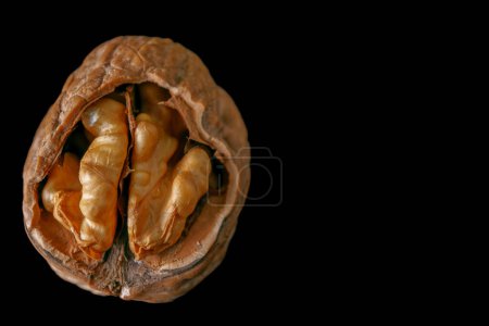 Téléchargez les photos : Unshelled walnut in close-up isolated on black background - en image libre de droit