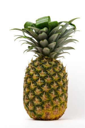 Photo for Whole natural fresh pineapple isolated on white background - Royalty Free Image