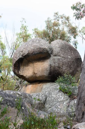 Téléchargez les photos : Granite Rocks in Girraween National Park Queensland Australia - en image libre de droit