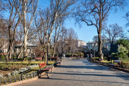 Foto de Odessa, Ucrania 29.12.2022. Día de invierno soleado en el jardín de la ciudad en Odessa, Ucrania - Imagen libre de derechos
