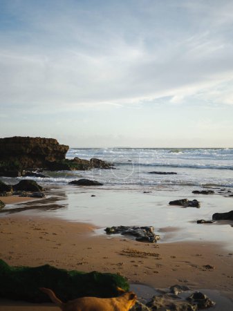 Foto de Ocean Beach with rocks and waves - Imagen libre de derechos