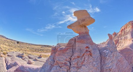 Foto de A rock hoodoo in Pharaoh's Garden at Petrified Forest Arizona that resembles a Duck head. - Imagen libre de derechos