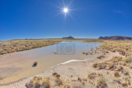 Photo for A marshy area called Billings Flat north of the Clam Beds in Petrified Forest Arizona. - Royalty Free Image