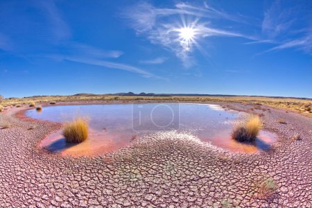 Foto de The shallow pond at Petrified Forest National Park Arizona called Dry Creek Tank along the Red Basin Trail. - Imagen libre de derechos