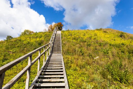 Photo for Wooden stairs in the middle of nature to climb up or go down. - Royalty Free Image