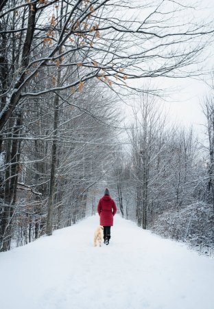 Téléchargez les photos : Woman in red coat walking with dog on snowy wooded trail in winter. - en image libre de droit
