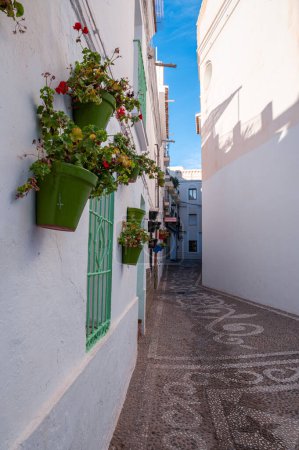 Téléchargez les photos : Fleurs dans la ville touristique de Nerja à Malaga, Espagne en 2022. - en image libre de droit