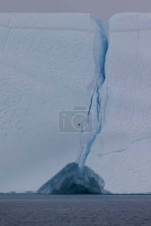Téléchargez les photos : Bird flying over crack in big iceberg - en image libre de droit