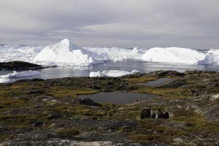 Téléchargez les photos : Man observe big icebergs floating over sea - en image libre de droit