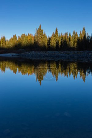 Téléchargez les photos : Spruce Tree Lake Reflection - Crested Butte Colorado - en image libre de droit