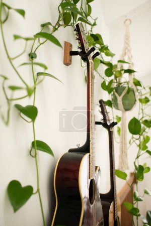 Photo for Close Up of Guitars on Wall with Indoor Plant in Macrame Plant Holder - Royalty Free Image