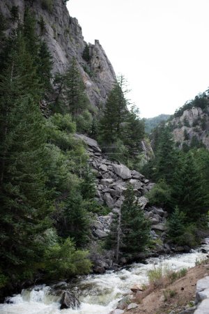 Photo for Narrow Creek Near Road with Evergreens and Rocks in Colorado - Royalty Free Image