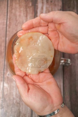 Téléchargez les photos : A woman holds in her hands a kombucha mushroom, scoby, taken from the fermented tea pitcher. - en image libre de droit
